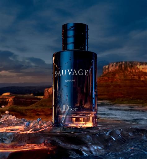 price of dior sauvage|price of sauvage Dior perfume.